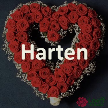 Harten