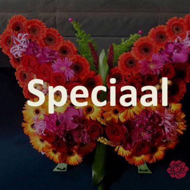 Speciaal