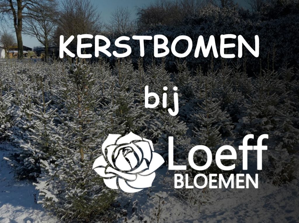 Kerstbomen_2018